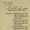 papilio croceus